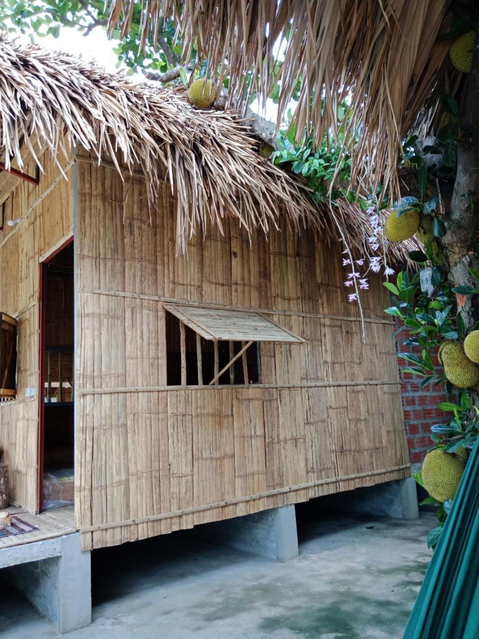 Cuc Phuong Hao Tham Homestay Hotel Nho Quan Eksteriør billede