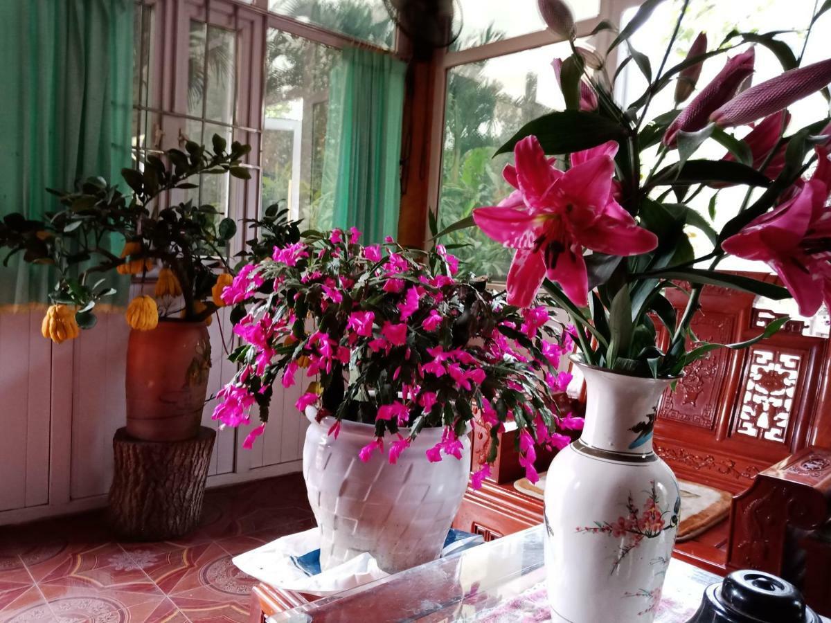 Cuc Phuong Hao Tham Homestay Hotel Nho Quan Eksteriør billede
